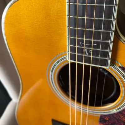 Martin Trey Anastasio Signature Edition DC Fishman Ellipse image 1