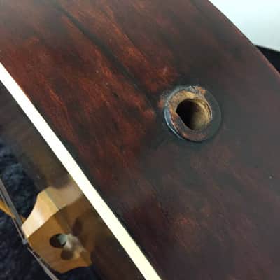 Gibson Mandobass image 8