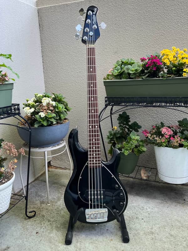 Sterling StingRay Ray35 with Roasted Maple Neck 2018 - 2023 - Black image 1