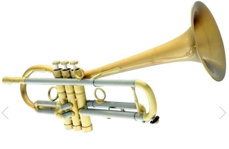 Carol Brass CTR-5280L-GLT(Euro-D)-Bb-SL Baro Model Trumpet image 1