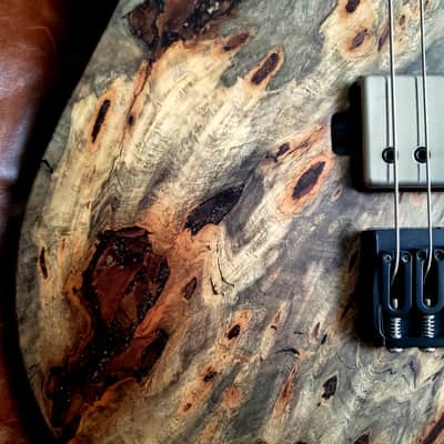 Mayones Duvell Elite 6 2026 Buckeye Burl Master Grade Top Black Limba Body Wenge Neck Ebony Fretboard 16" image 8