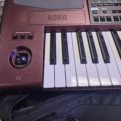 Korg PA1000 61-Key Professional Arranger 2017 - Present - Red image 2