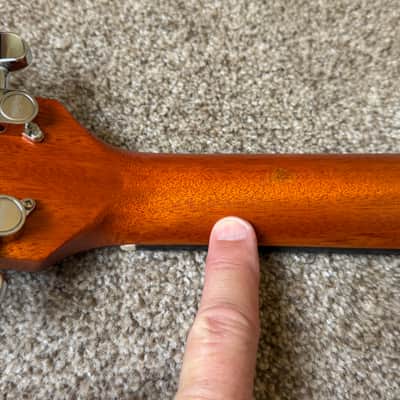 Washburn Comfort WCG12FCE 2025 - Cognac Sunburst image 14