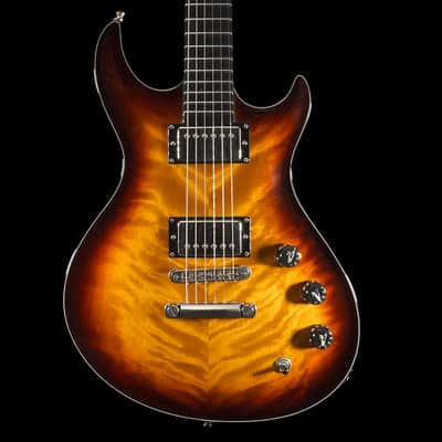 Ruokangas Duke DeLuxe Guitar in Cognac, Pre-Owned image 1