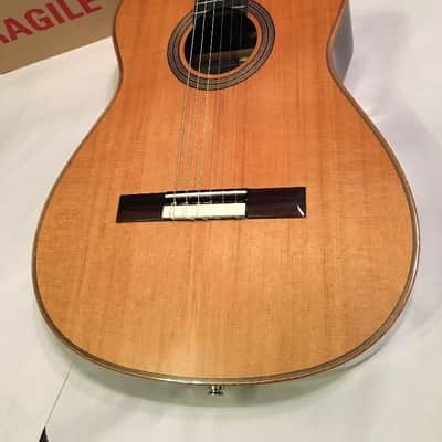 Cordoba Fusion 12 Orchestra  Natural Acoustic Electric Classical Hybrid Guitar image 2