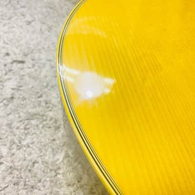 Tokai Cat's Eyes CE-300 1970〜80年代 image 16