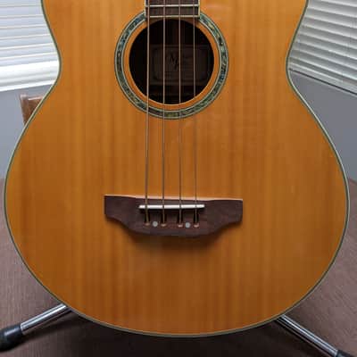 Michael Kelly Acoustic/Electric Bass Guitar image 2