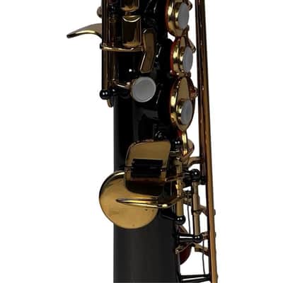 Aquilasax  Eclipse C Soprano in Onyx w/ Road Case and accessories! image 4