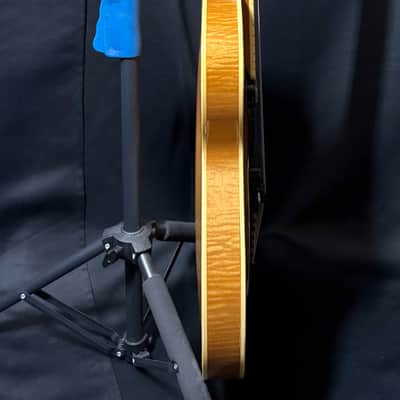 Hofner President Blonde Thinline Guitar - Toaster Diamond Pickups - Sturdy Martin Hard Case - 1961 image 18