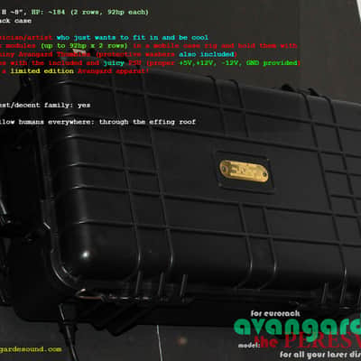 NEW! Avantgarde Sound • The Peresvet • 186hp Fully Powered Eurorack Case w/Wheels! image 8