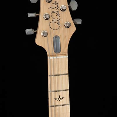 Paul Reed Smith John Mayer Signature Model Silver Sky Frost image 7