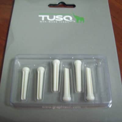Graph Tech PP-1100-01 TUSQ Traditional-Style Acoustic Guitar Bridge Pins - 6-String