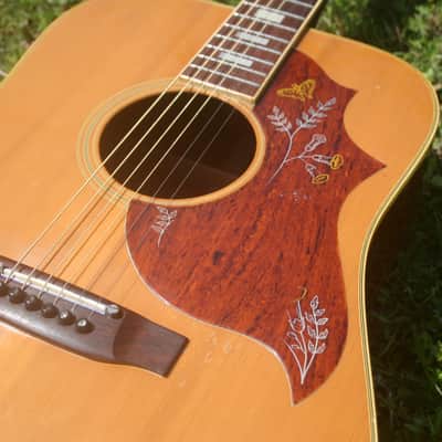 Takamine Elite HM-25 Hummingbird Replica Guitar 1974 Natural+Hard