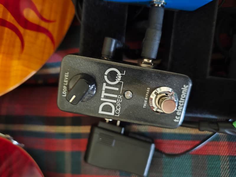 TC Electronic Ditto Looper Pedal - Ultra-Compact 24-Bit Looping Machine - Excellent Condition image 1