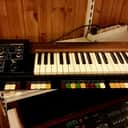 Roland SH-1000 Synthesizer (Vintage)