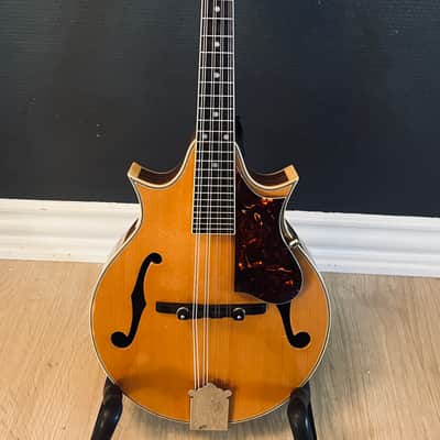 Aria AM-600 - F-Style Mandolin | Reverb The Netherlands