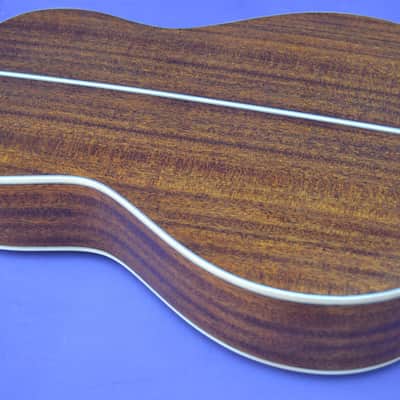 Bedell Performance Series OHN-18E-G Ac/El Nylon Parlor Guitar-GigBag- Rare Model image 10