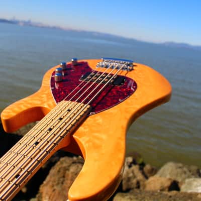 OLP Tony Levin Signature 5-String Bass  Flamed Natural image 3