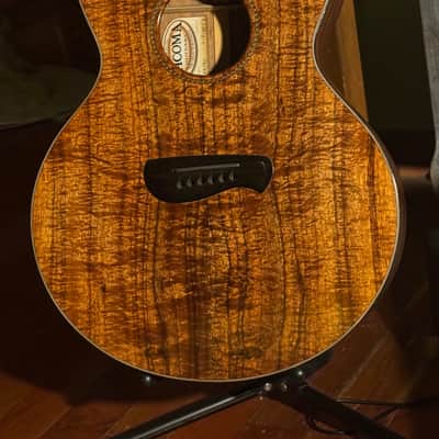 Tacoma EKK-19C 2004 image 10