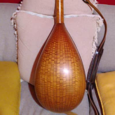 Liuto cantabile (mandocello 5 courses) image 2
