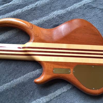 Alembic Roque 5 image 8