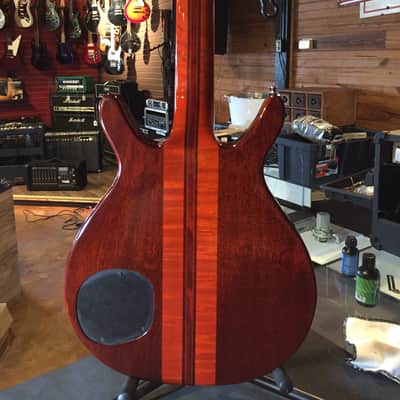 Washburn Custom Shop image 6