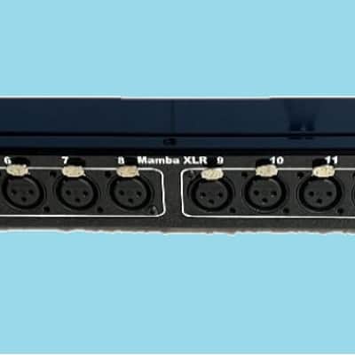 NETWORKSOUND MAMBA 16 XLR DB25 パッチベイ Mamba 16 XLR Male to 2 DB25 Tascam Analog Pinout 1RU Patch Bay