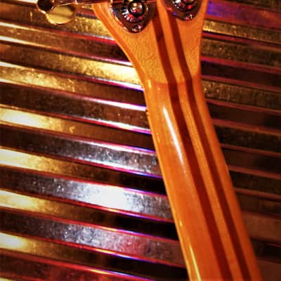 DEFIL MAMBO Bass 1968 Vintage Acoustic Electric like Hofner. By the Artist El Daga. One of a kind. image 25
