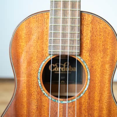 Cordoba 30T Tenor Ukulele 2010s - Solid Mahogany image 10