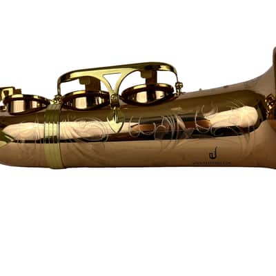 Yanagisawa AWO20UL Unlacquered Bronze Elite Alto Saxophone New In Box! image 20