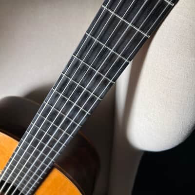 Fratelli Lodi Cedar Brazilian Rosewood Classical image 13