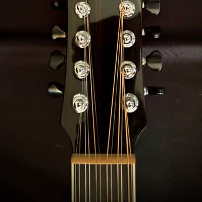 Morgan 12 String Left Handed Jumbo image 6