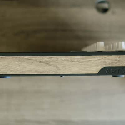 Arturia MiniLab MkII Inverted Edition - CONDIZIONI PERFETTE image 2