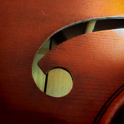 Viola da Gamba Helmut Buchsteiner 6 saitig 1977 - Varnish image 13