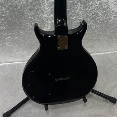 Washburn Raven electric guitar / flaming eagle refinish + Tweed case image 11