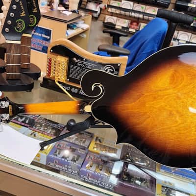 Gold Tone GM-35 F-Style Mandolin - Tobacco Sunburst image 6