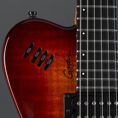 Godin xtSA Light Burst Flame incl. Gigbag - Electric Guitar image 5