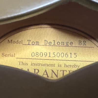 Epiphone Tom DeLonge Signature ES-333 2008 - 2019 - Brown with Cream Stripe image 8