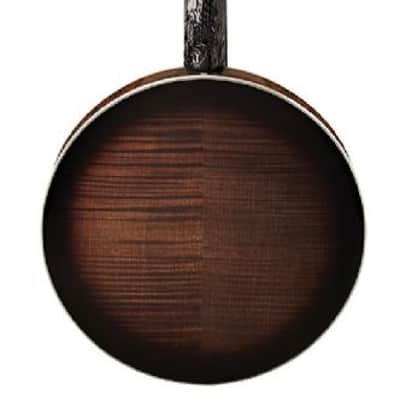 Washburn B17 Americana Series (5 String) Banjo 2020s - Tobacco Sunburst image 3