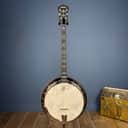 Custom Deering Sierra 19-Fret Tenor Banjo with Pre-War Flange & Fiberskyn Head