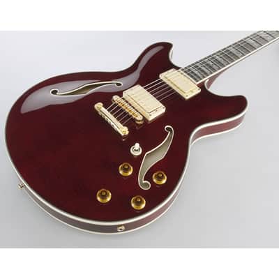 Ibanez EKM100-WRD Eric Krasno image 3