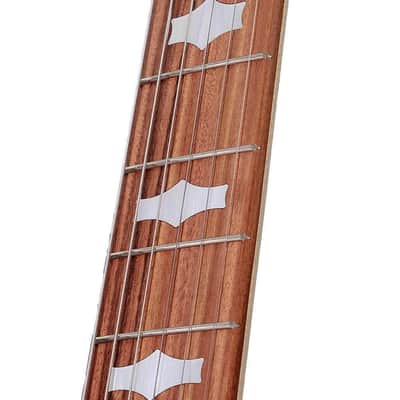 Deering Goodtime Six 6 String Banjo image 4