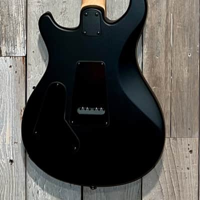 PRS SE Sandblasted CE 24 Electric Guitar - Sandblasted Purple, Limited Edition, Help Support Small Business & It Here ! image 10