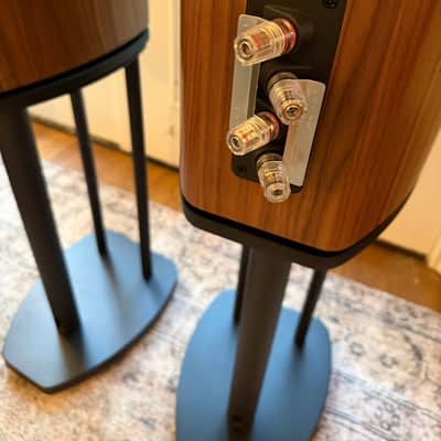Speakers WHARFDALE EVO 4.2 Bookshelf Speakers image 14