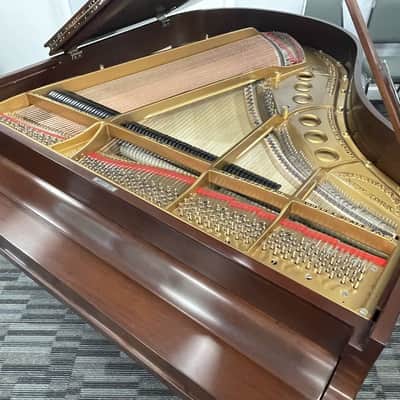 Steinway Model M 5'7" Grand Piano 1924 (Restored) - Satin Mahogany image 16