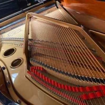 Pearl River 6'3" Grand Piano image 4