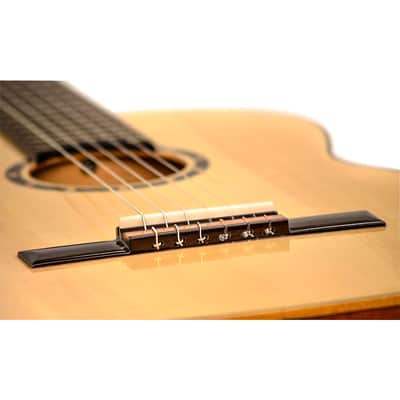 Ortega Family R122SN Classical Guitar Regular Natural Matte image 6