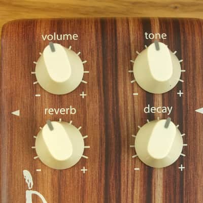 LR Baggs Align Reverb for Acoustic Guitars image 6