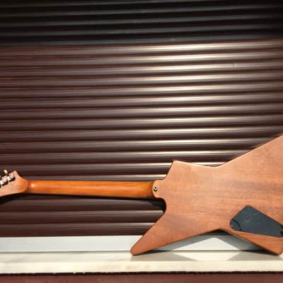 ESP Mx-250 Custom Order Block Inlays Explorer with EMG HET SET Mx250 image 9