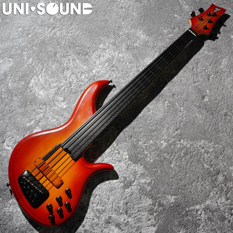 F Bass Alain Caron Signature AC-5 AC5 Fretless image 1